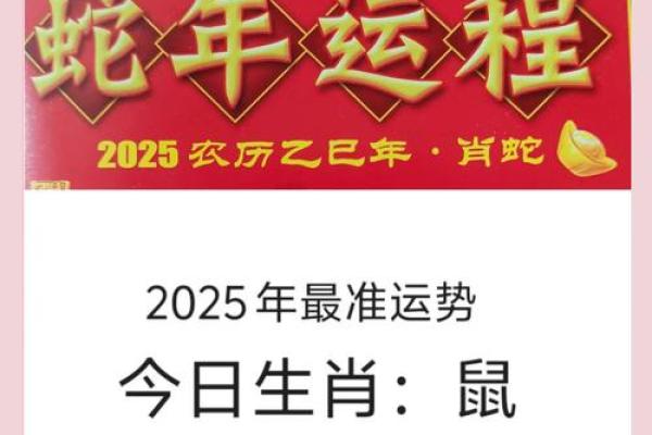 1972属鼠2025年运势及运程