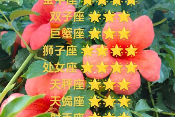 白羊座3月财运(白羊座3月财运运势)