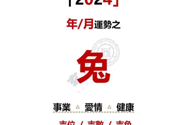 87年属兔38岁运气 87年兔34岁的财运2021