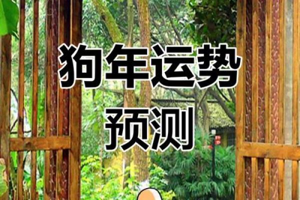 2025年属狗女1970年运势_1970年狗女2025年运势完整版 2025年属狗女1970年运势_1970年狗女2025年运势完整版