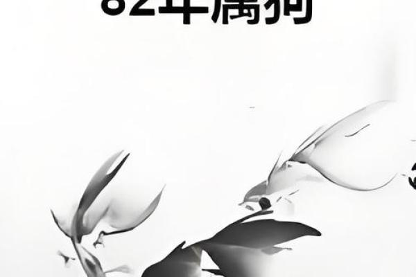 82年狗在2025年运势及运程 2025年82年属狗人运势详解运程大揭秘