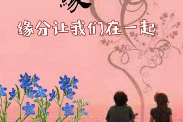 缘分让我们_缘分让我们相遇一段奇妙的人生旅程