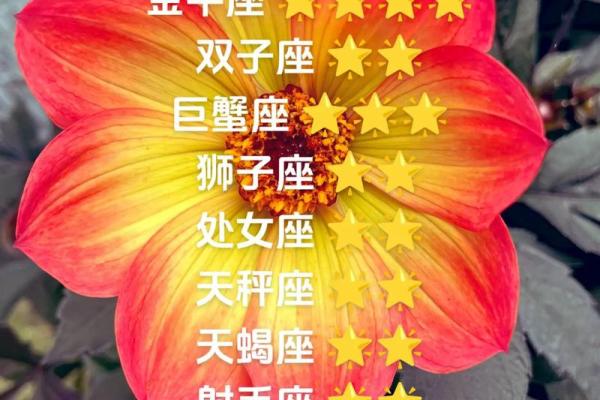 白羊座是什么相