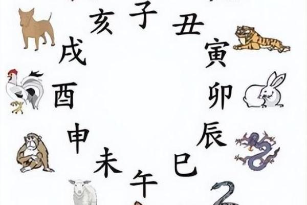 寸草春晖是什么生肖