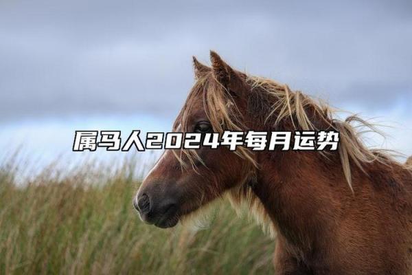 属马在2026年本命年运势如何_属马2026年运势及运程详解每月 属马在2026年本命年运势如何_属马2026年运势及运程详解每月
