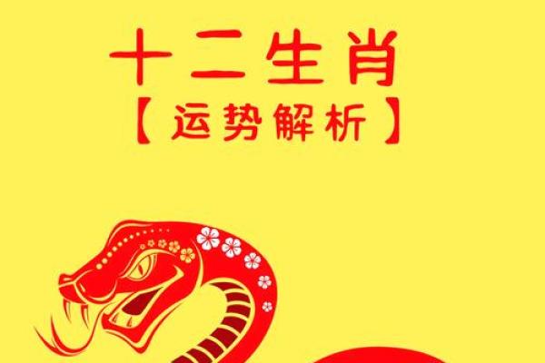 生肖龙2025年运势大全 2025年属龙运势及运程1988年生人