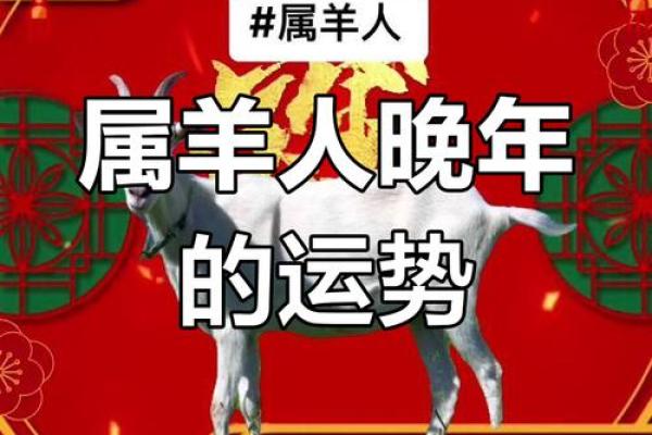 1979年属羊财运方向 1979年属羊财运方向解析如何提升财富运势 1979年属羊财运方向 1979年属羊财运方向解析如何提升财富运势