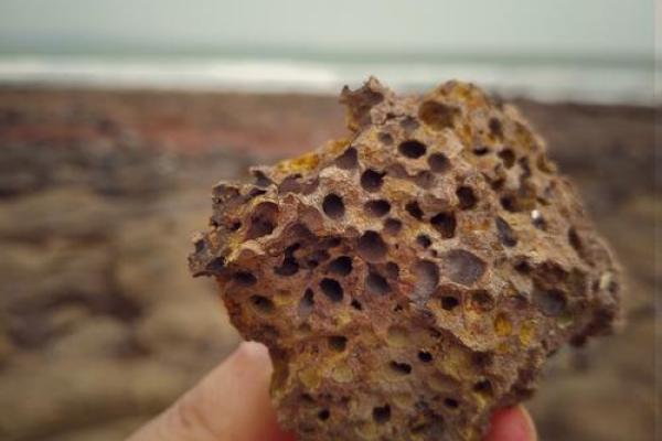 海枯石烂是什么生肖(海枯石烂是什么生肖百分比) 海枯石烂是什么生肖(海枯石烂是什么生肖百分比)