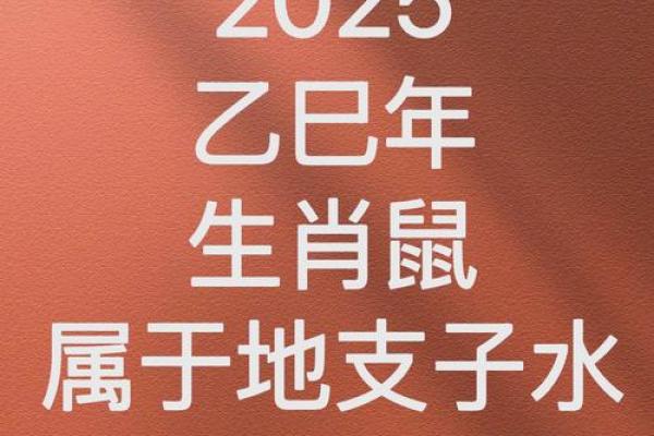 1972年属鼠男2025年全年运势