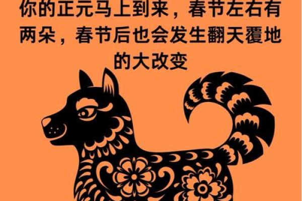 1972年鼠女2025年运势