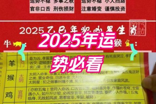 1972年鼠女2025年运势