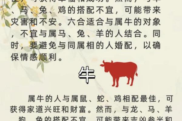 属龙跟属马的姻缘怎么样_属龙和属马婚姻相配吗解析姻缘优缺点与配对建议 属龙跟属马的姻缘怎么样_属龙和属马婚姻相配吗解析姻缘优缺点与配对建议