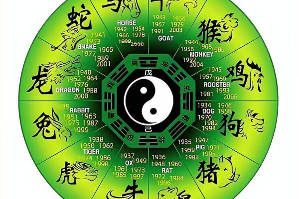 来龙去脉打一生肖(来龙去脉打一生肖正确数字)