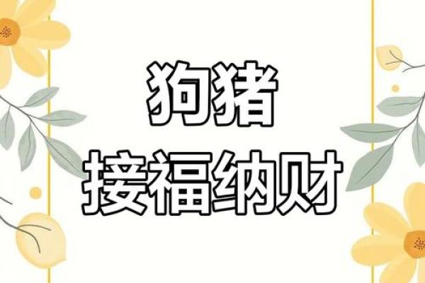 属狗和属狗的适合做夫妻吗_属狗和属猪的适合做夫妻吗 属狗和属狗的适合做夫妻吗_属狗和属猪的适合做夫妻吗