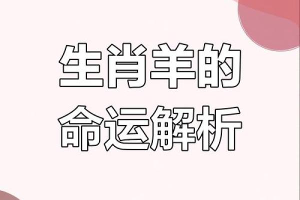 1967年属羊人2025年全年运势详解视频 1967年属羊人58岁大难 1967年属羊人2025年全年运势详解视频 1967年属羊人58岁大难