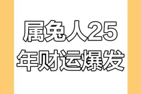 属兔人2025年运势及运程 2025年属兔人运势详解全年运程大揭秘