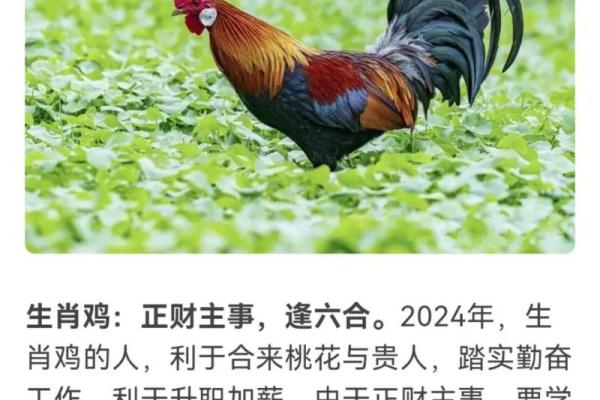 2024甲辰龙年运势解析64年属龙者全年运程与每月吉凶