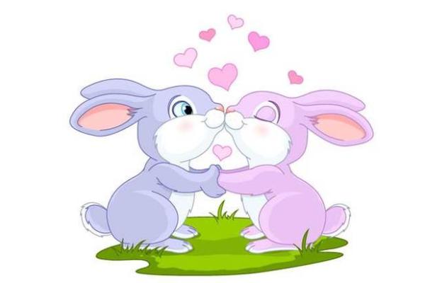 属兔的最佳婚配对象_1999年属兔最佳结婚对象