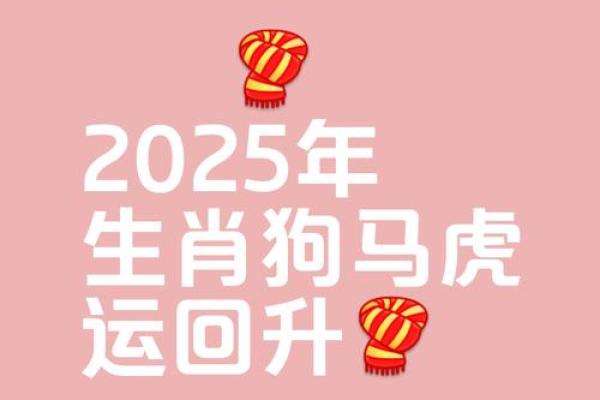 属狗的人2025年运势及运程_属鸡的人2025年运势及运程 属狗的人2025年运势及运程_属鸡的人2025年运势及运程