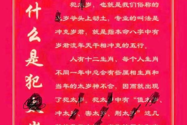 2025年属猪犯什么太岁_2025年属猪人的全年运势详解 2025年属猪犯什么太岁_2025年属猪人的全年运势详解