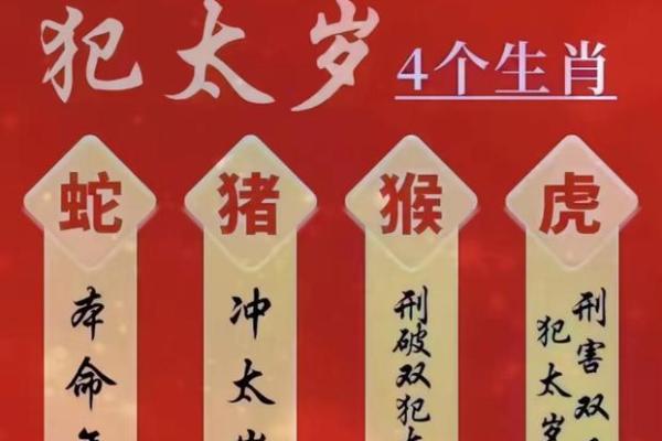 2025年属猪犯什么太岁_2025年属猪人的全年运势详解 2025年属猪犯什么太岁_2025年属猪人的全年运势详解