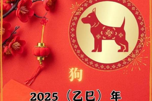 1982年狗女2025年运势_82年女狗2025年运势 1982年狗女2025年运势_82年女狗2025年运势