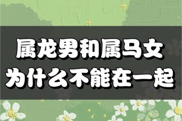 属龙跟属龙的人在一起合适吗_龙男娶了龙女会幸福吗