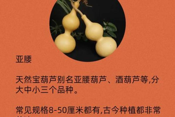 闷嘴葫芦是什么生肖(闷嘴葫芦是什么生肖) 闷嘴葫芦是什么生肖(闷嘴葫芦是什么生肖)