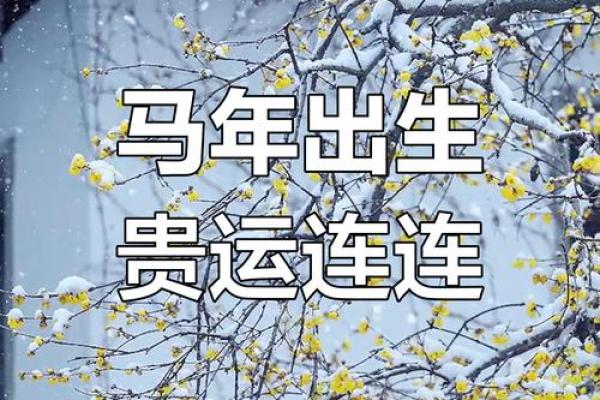 1978年属马2025年运势 1978年属马人2025年运势详解吉凶预测与运程指南 1978年属马2025年运势 1978年属马人2025年运势详解吉凶预测与运程指南