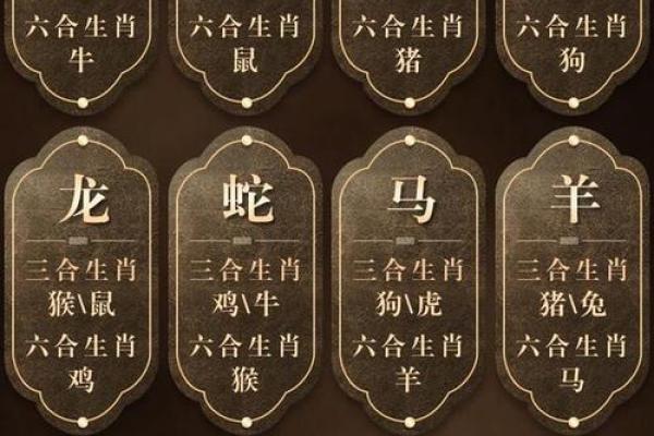 四目相对是什么生肖(四目相对是什么生肖动物) 四目相对是什么生肖(四目相对是什么生肖动物)