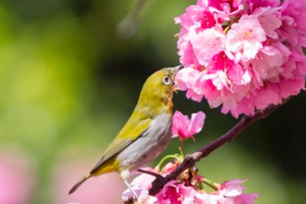 2014年几点立春 2014年几点立春