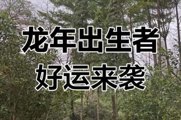 属龙2025年运势如何_2025年属龙人全年运势大解析逐月运程全揭秘