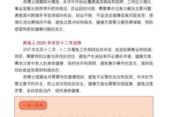 2025年属兔人 2025年属兔人运势解析事业财运感情全攻略