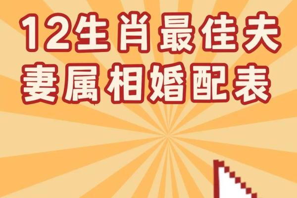 兔的最佳配偶属相_00年属兔的最佳配偶属相