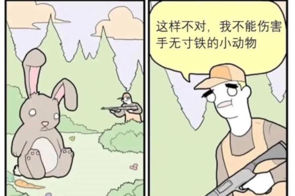 “手无寸铁”打一个生肖动物，手无寸铁打一正确生肖答案解释释义落实