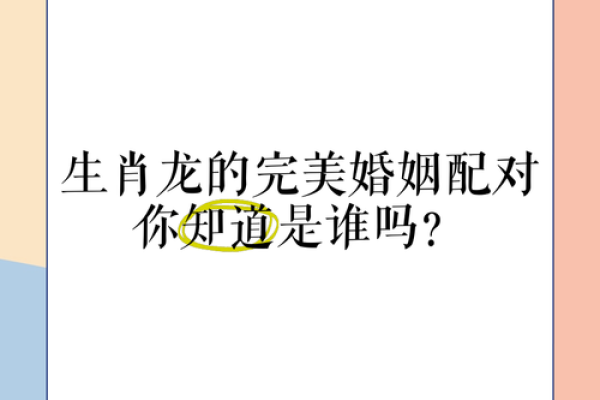 兔跟龙属相婚配如何 兔龙属相婚配解析缘分深浅与幸福指数揭秘 兔跟龙属相婚配如何 兔龙属相婚配解析缘分深浅与幸福指数揭秘