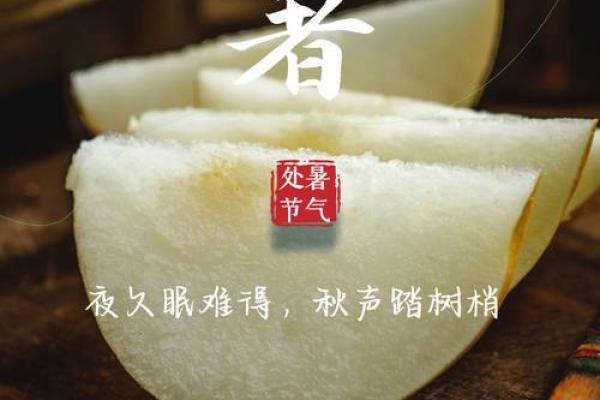 处暑节气吃什么养生