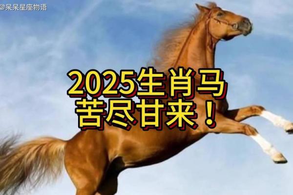 2025年属马不适合穿什么颜色_属马的在2025年的运势好不好呢