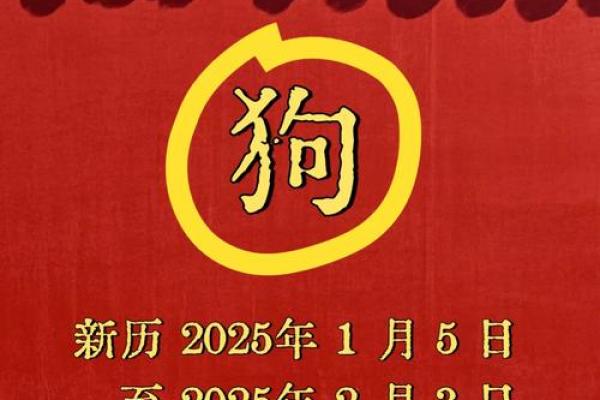 2025年属狗的多大_2025年虚岁年龄表