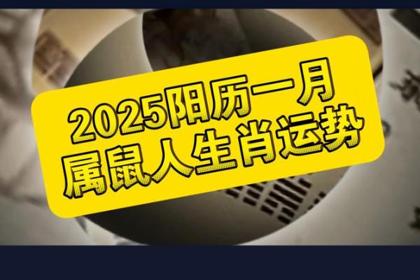 1996属鼠的2025年运势如何 1996属鼠的2025年运势如何