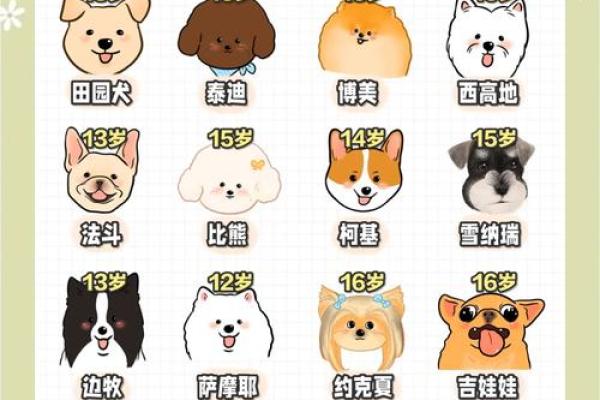 2006属狗最佳结婚年龄_2006年属狗最佳婚姻 2006属狗最佳结婚年龄_2006年属狗最佳婚姻