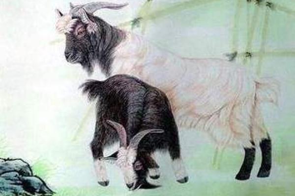 属羊的男和什么属相最配_属羊男与什么生肖最配 属羊的男和什么属相最配_属羊男与什么生肖最配