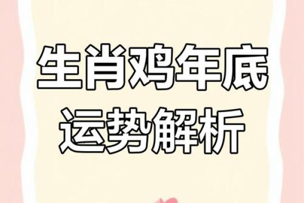属鸡人2024年全年运势运程_属鸡人2024年运势详解全年运程大揭秘