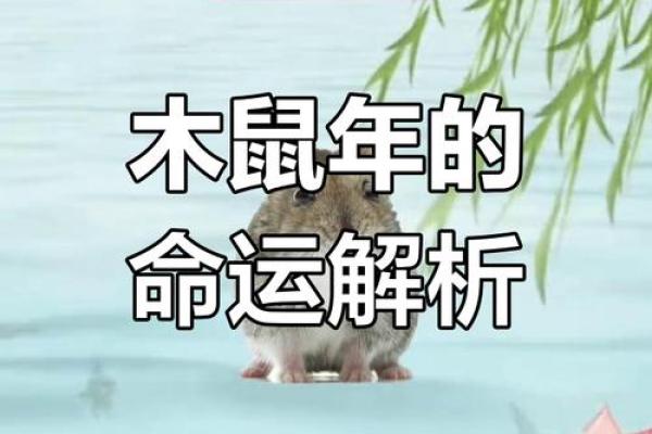 1984年属鼠男2025年运势每月运势