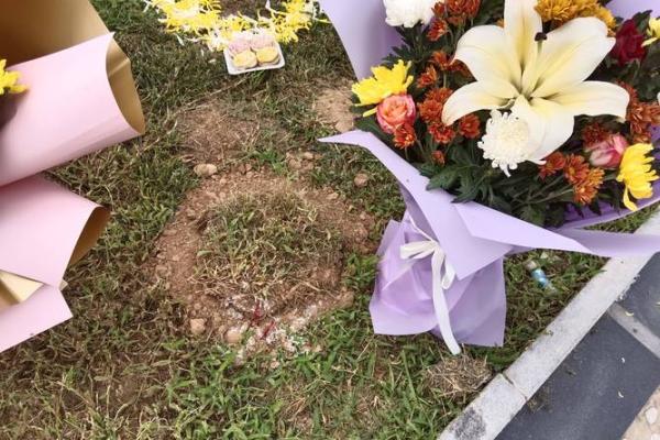 坟上动土有什么讲究(坟上动土了,怎么化解) 坟上动土有什么讲究(坟上动土了,怎么化解)