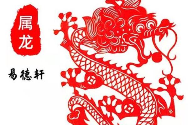 属龙年份_属龙年份运势全解析腊月至正月吉凶指南