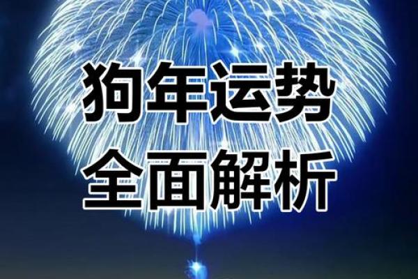 1994年属狗2025年运势完整版 1994年属狗2025年运势详解全年运程完整版 1994年属狗2025年运势完整版 1994年属狗2025年运势详解全年运程完整版