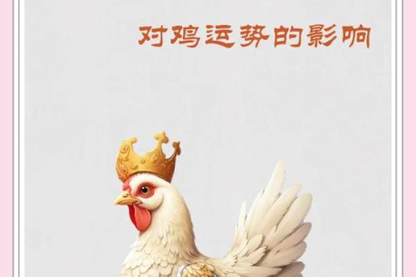 属鸡的今日运势最准 属鸡今日运势最准解析财运事业双丰收 属鸡的今日运势最准 属鸡今日运势最准解析财运事业双丰收