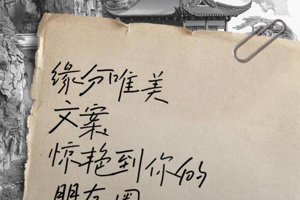 缘分重是什么意思_缘分重的真正含义揭秘命运中的深厚联系 缘分重是什么意思_缘分重的真正含义揭秘命运中的深厚联系