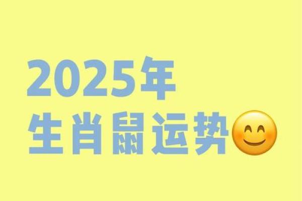 1984年鼠2025年运势及运程 1984年鼠2025年运势及运程
